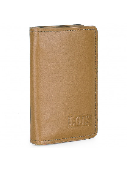 Lois Cloud man wallet skin...