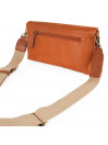 Lois Ankeny Borsa a tracolla
