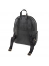 -2205 Impressionist Ss Rucksack Dkny -2205 Impressionist Ss